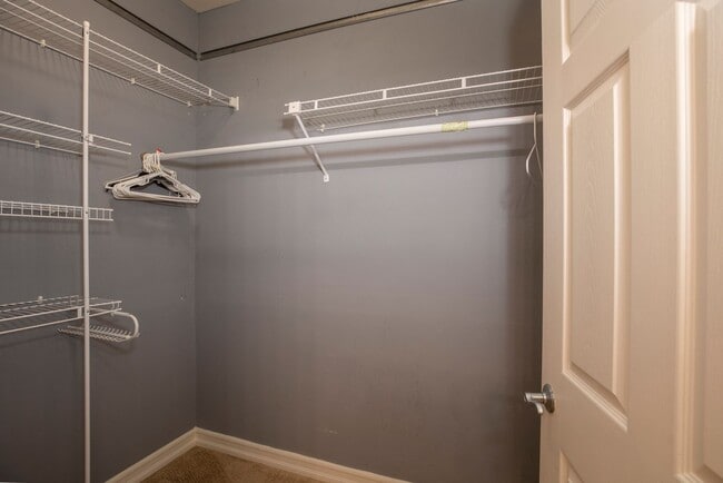 Building Photo - Rare Corner 3BR with Great Natural Light + 2 Parking Spaces