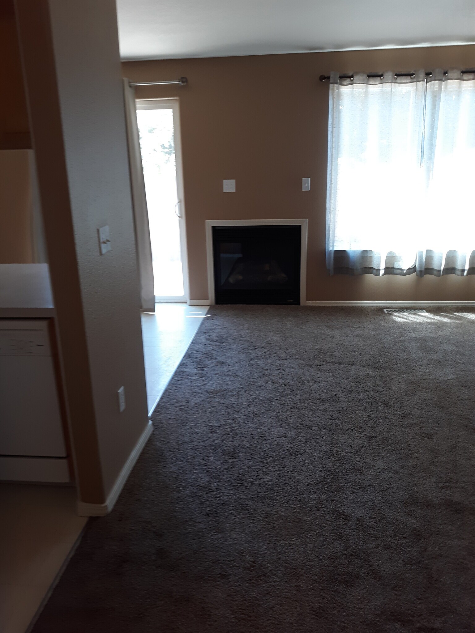 Gas Fireplace - 1458 Falcon Loop