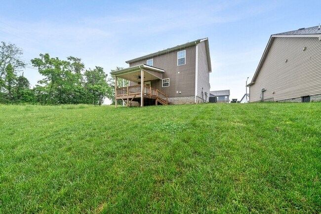 Building Photo - 913 Lutz Ln