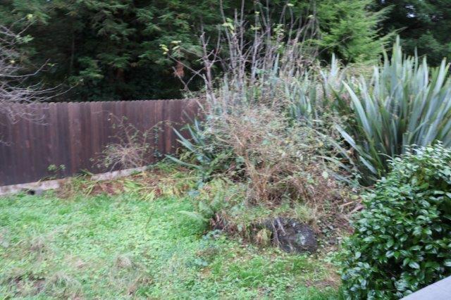 Building Photo - Near Sequoia Zoo and Park, Cozy 2/1 with l...