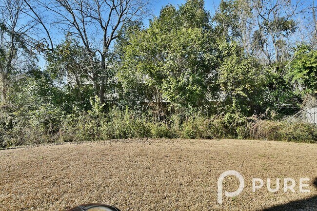 Building Photo - 373 Council Loop, Columbia, SC 29209