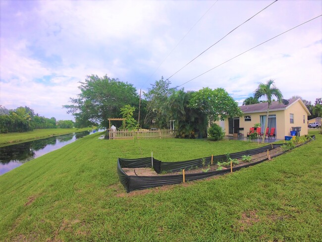 Backyard- Moringa tree added. Garden access - 3783 Roan Ct E