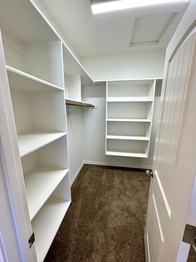Building Photo - New 2024 Built 3 Bedroom Home with Beautif...