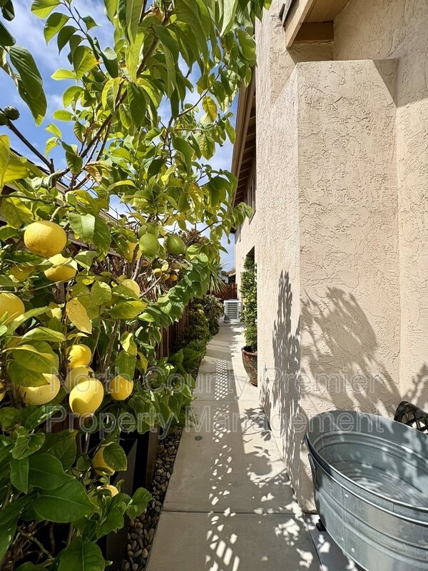 Building Photo - 1867 Amalfi Dr