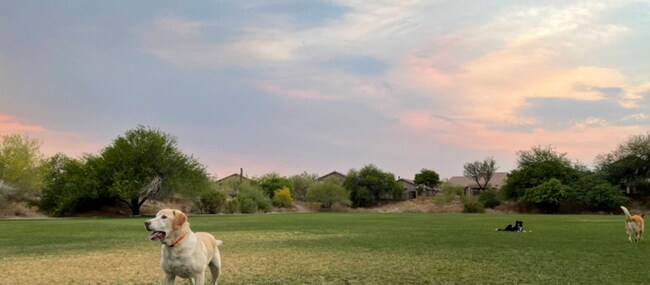 Building Photo - A Beautiful Las Sendas Home in a Gated Community