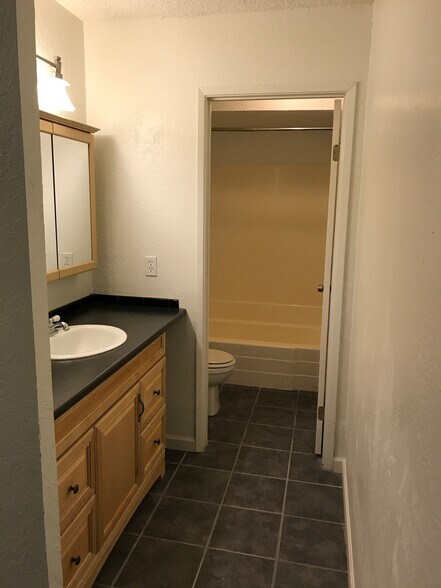 Master Bathroom - 824 S Langley Ave