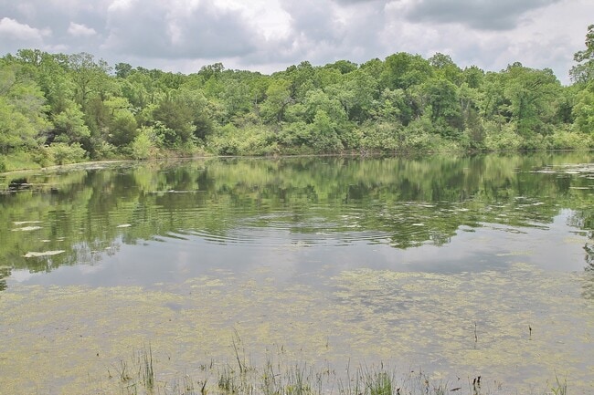 Building Photo - Secluded luxury cabin in woods with private lake! Great Central location between Topeka & Lawrenc...