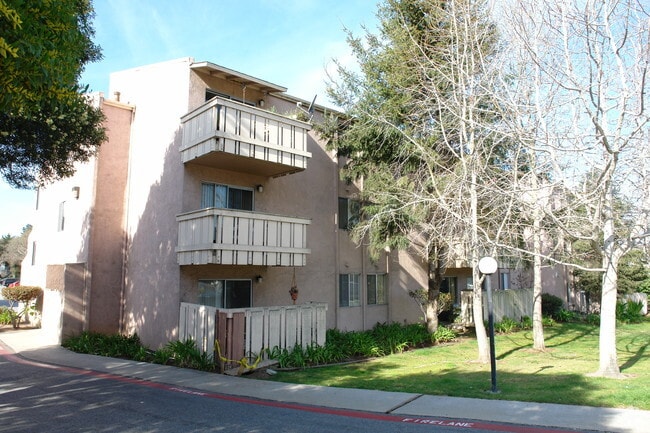 Primary Photo - Casanova Plaza Apartments