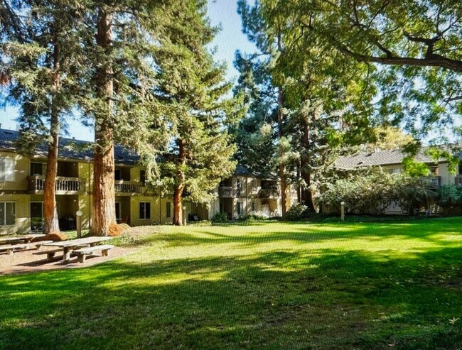 Building Photo - 2 bedroom, 1 bath condo in Mountain View