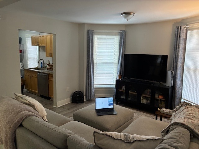 Living Room - 34 Canfield Pl