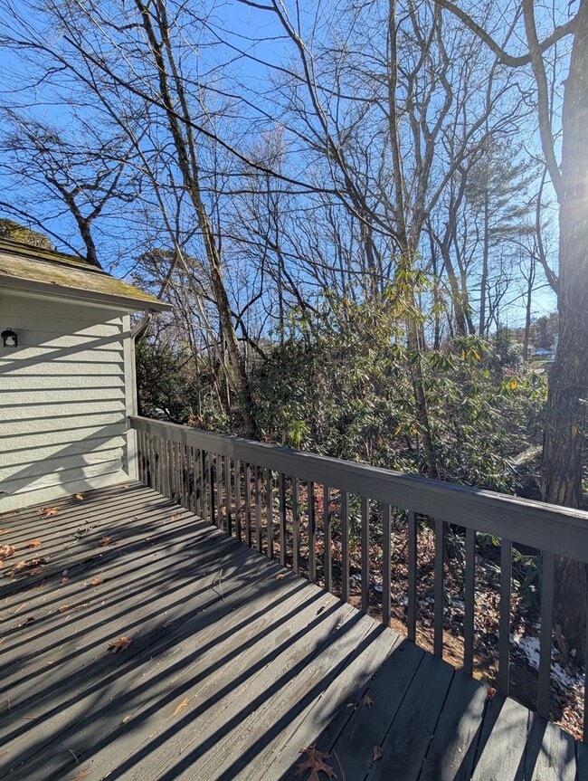 Building Photo - Private Black Mountain Rental!