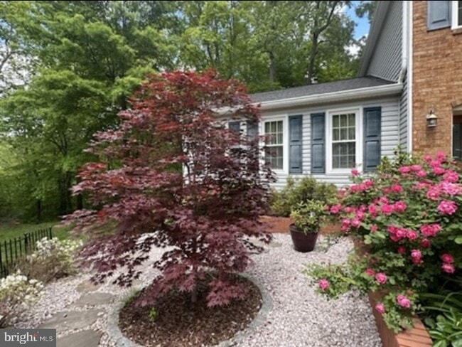 Building Photo - 7801 Cliffside Ct