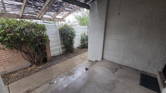 Backyard - 819 N 5th Ave