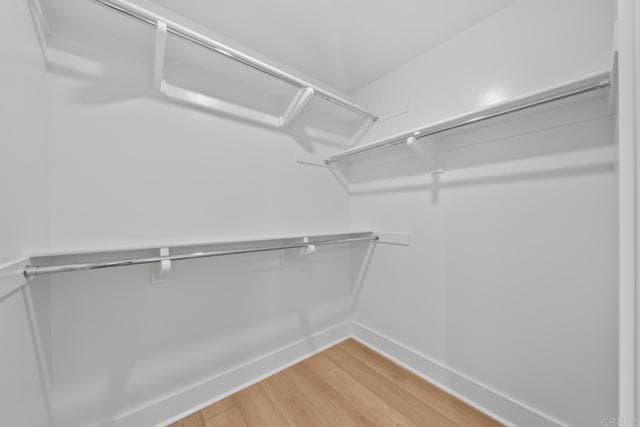 Building Photo - 1101 Catania Ct