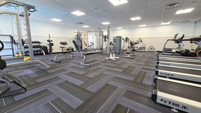 Building Photo - 5139 Floria Way