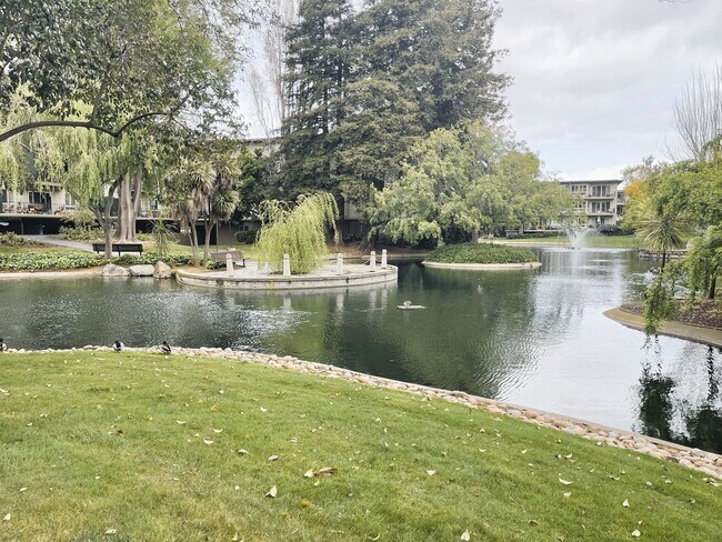 Building Photo - Resort like living in the prime location of San Mateo