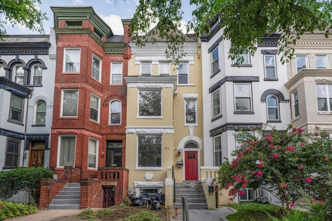 Primary Photo - Available Now! Massive, Recently Renovated...