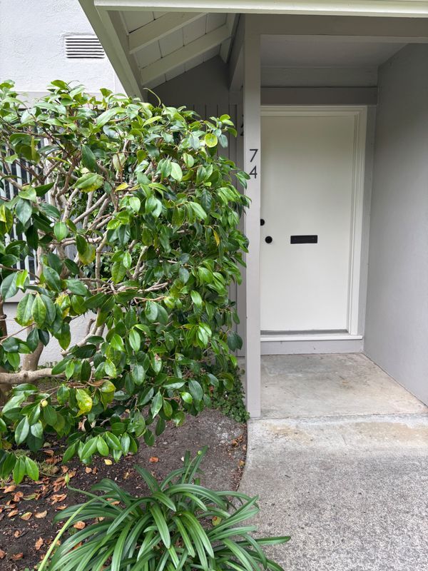 Building Photo - 74 Miramonte Dr