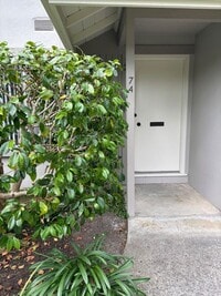 Building Photo - 74 Miramonte Dr