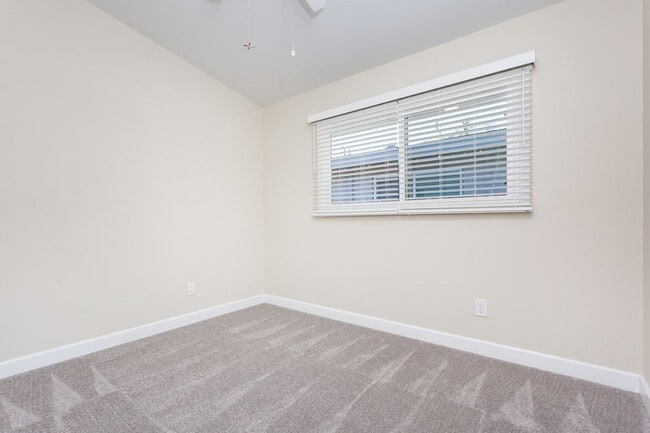 Building Photo - Newly updated Single-Story in Clairemont