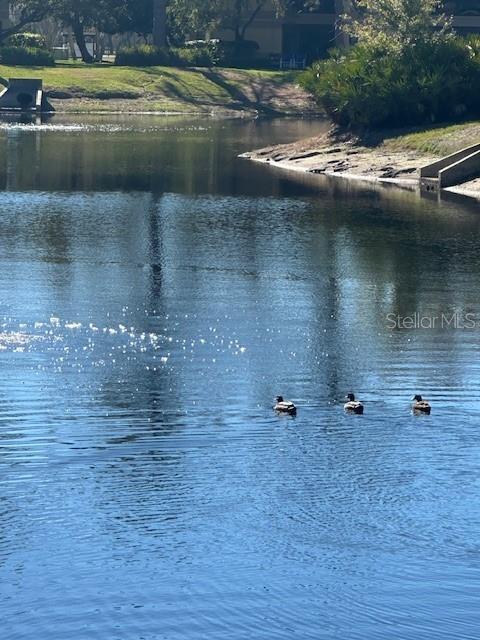 Building Photo - 2683 Sabal Springs Cir