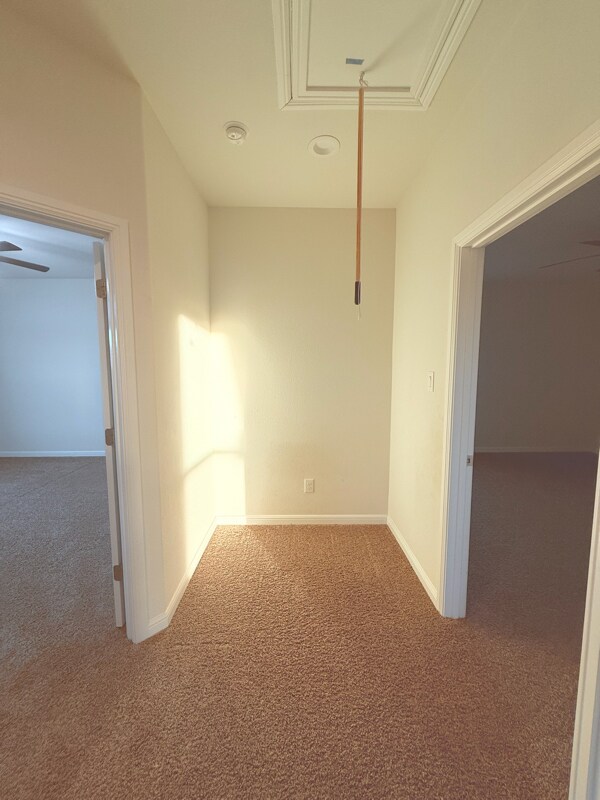 Building Photo - 565 Lindisfarne Ln