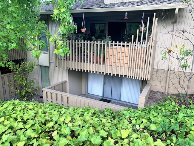 Patio View from Street - 2323 Eastridge Ave