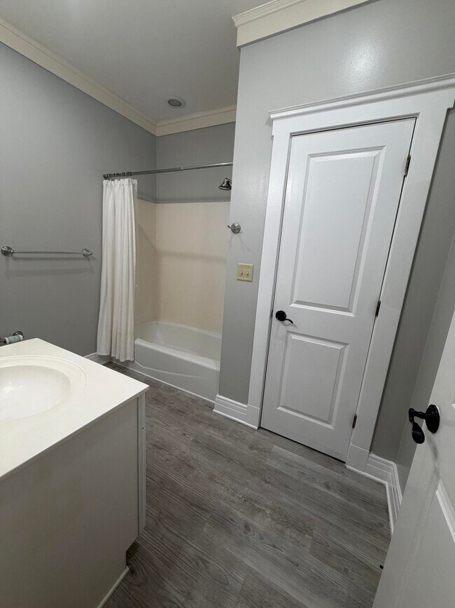 Building Photo - 1511 Tin Cup Ct