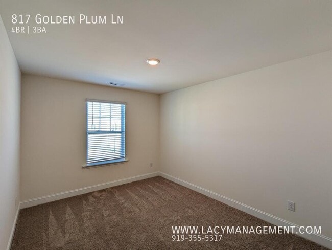 Building Photo - 817 Golden Plum Ln