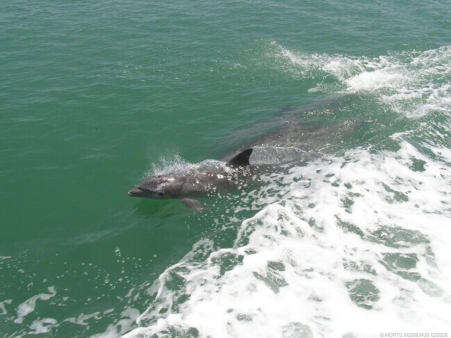 Building Photo - 513 Gunwale Ln