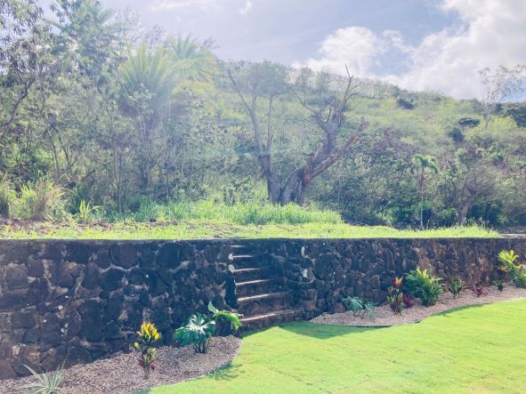 Building Photo - 1381 Ala Aolani St