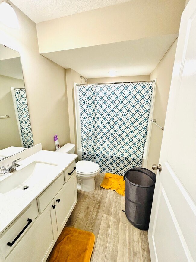 Building Photo - Amazing updated 4 bed house in Lakeville!