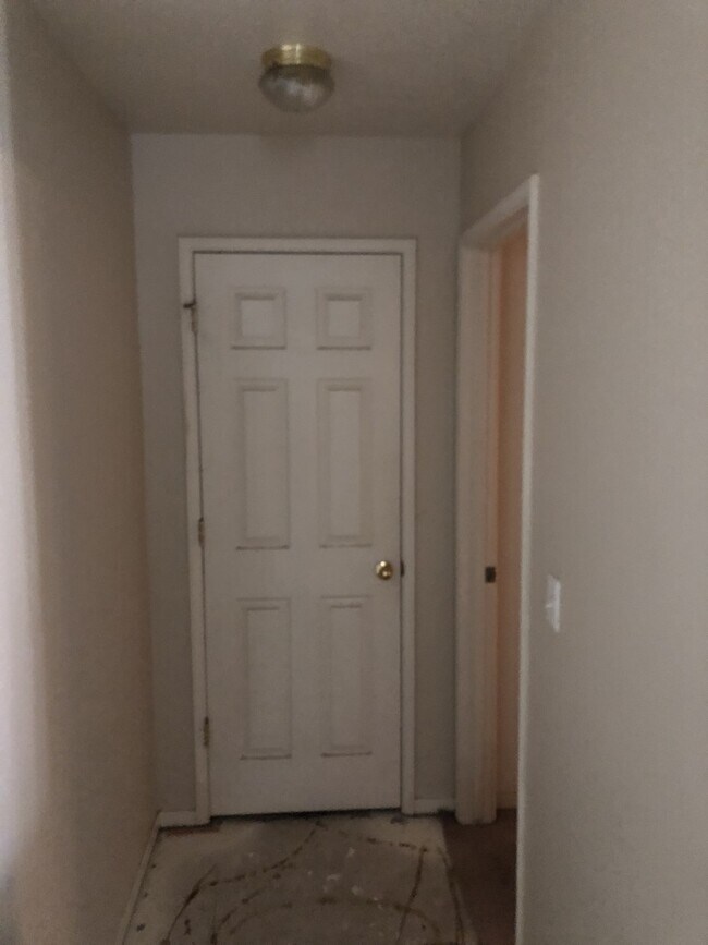 Building Photo - 1281 Mt Brewer Ct