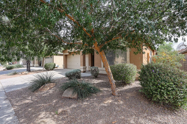 Building Photo - 12447 W El Nido Ln