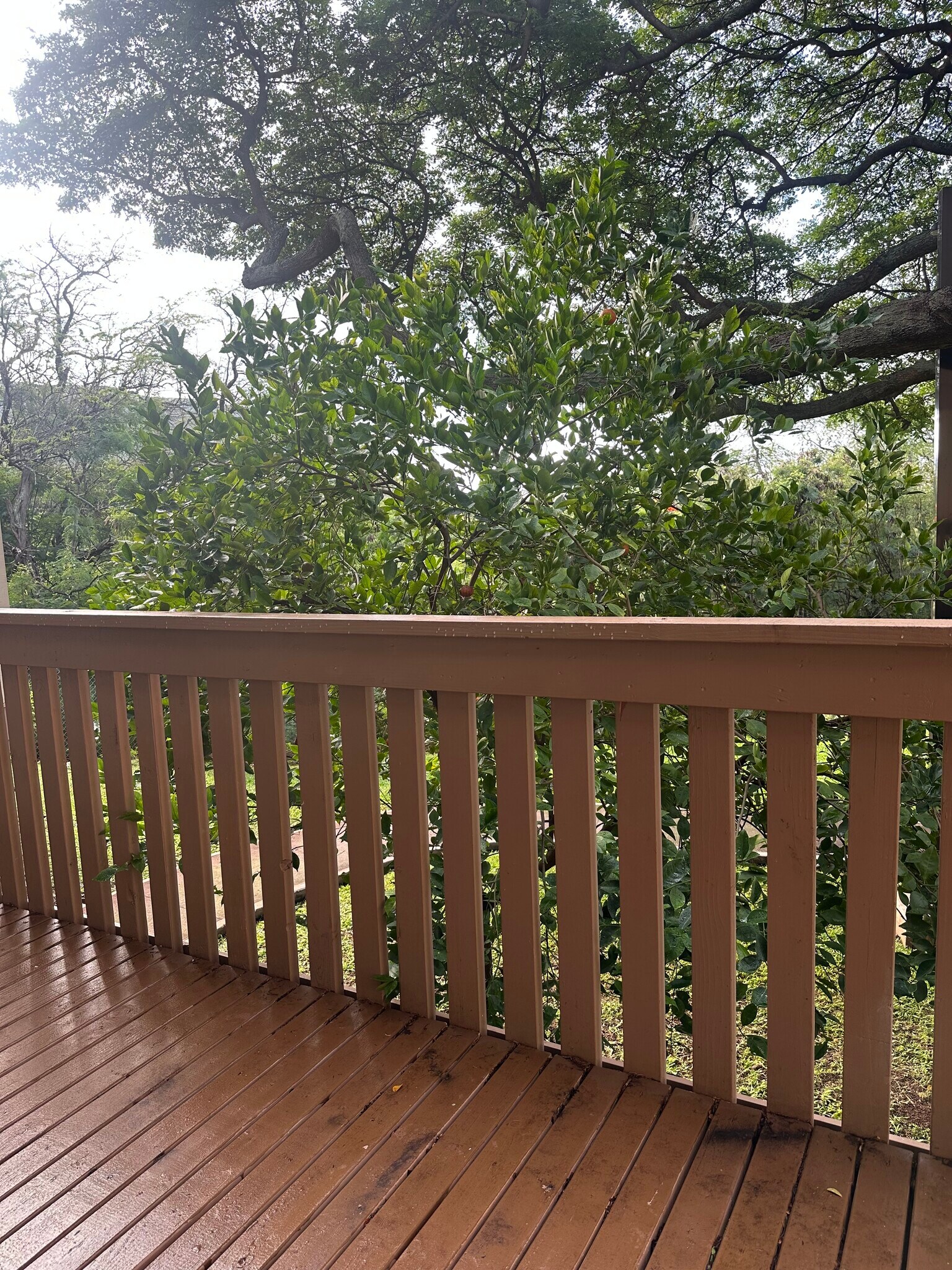 Building Photo - 84-707 Kiana Pl