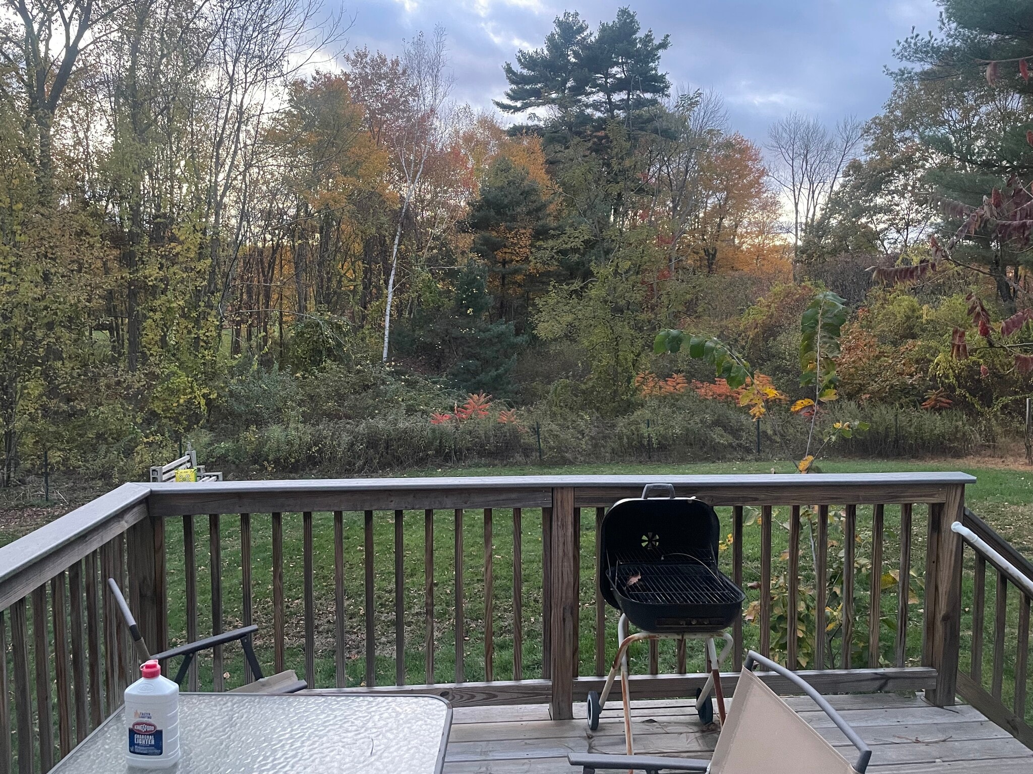 Back deck - 583 Main St