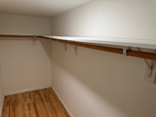 Master Walking Closet - 11501 Hatteras St