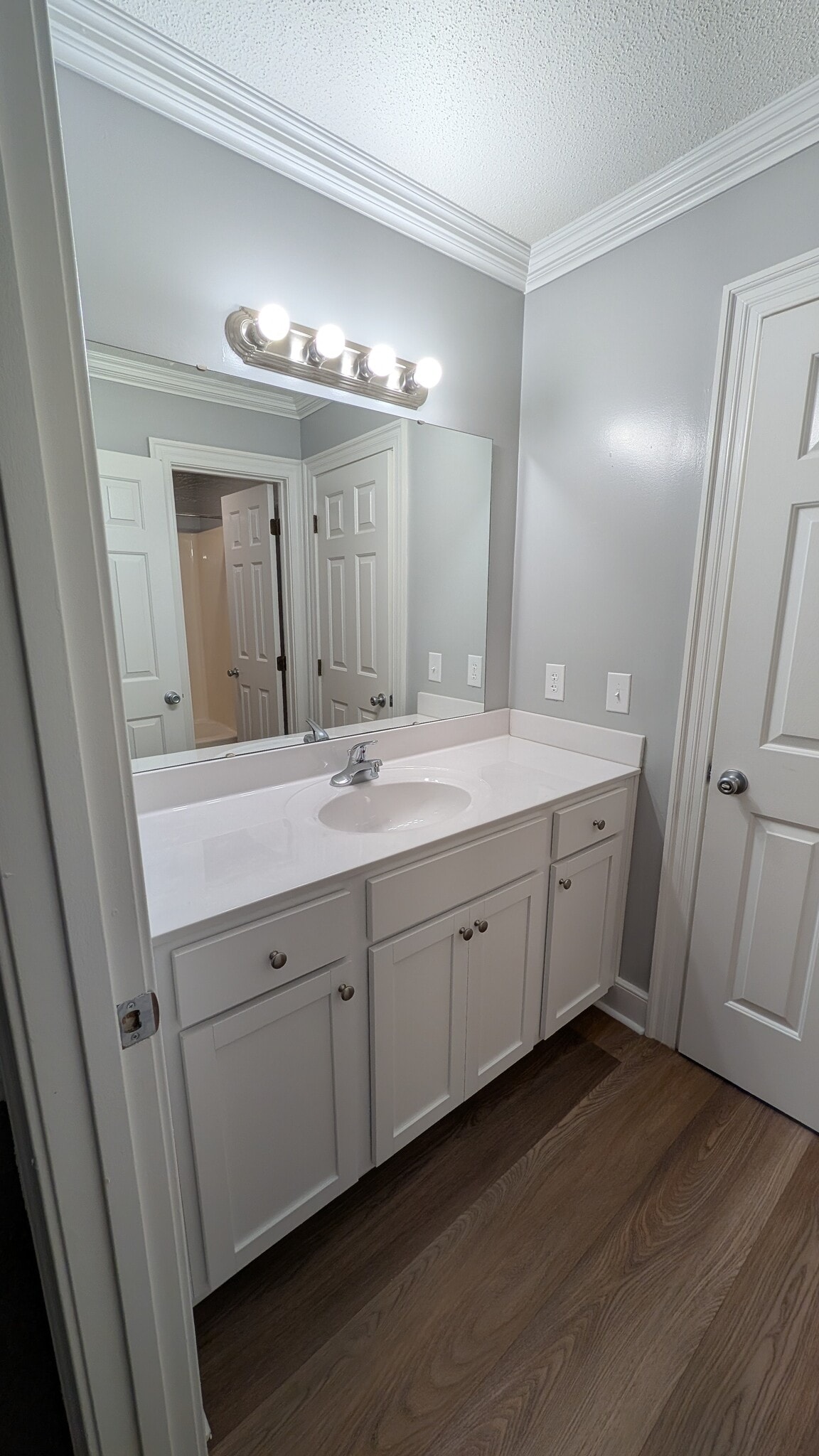 guest bath - 805 Spring Ln