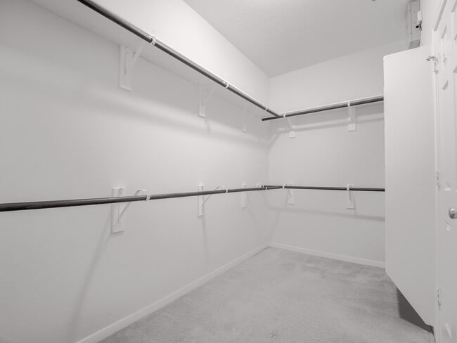 Building Photo - 24531 Via Salerno Ct