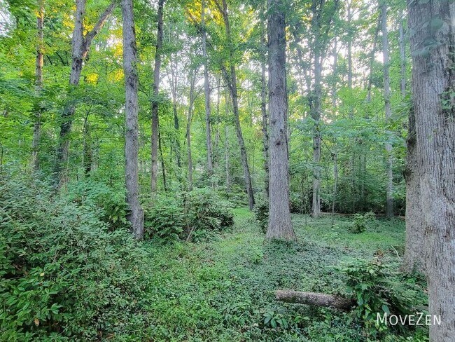Building Photo - 303 Driftwood Dr