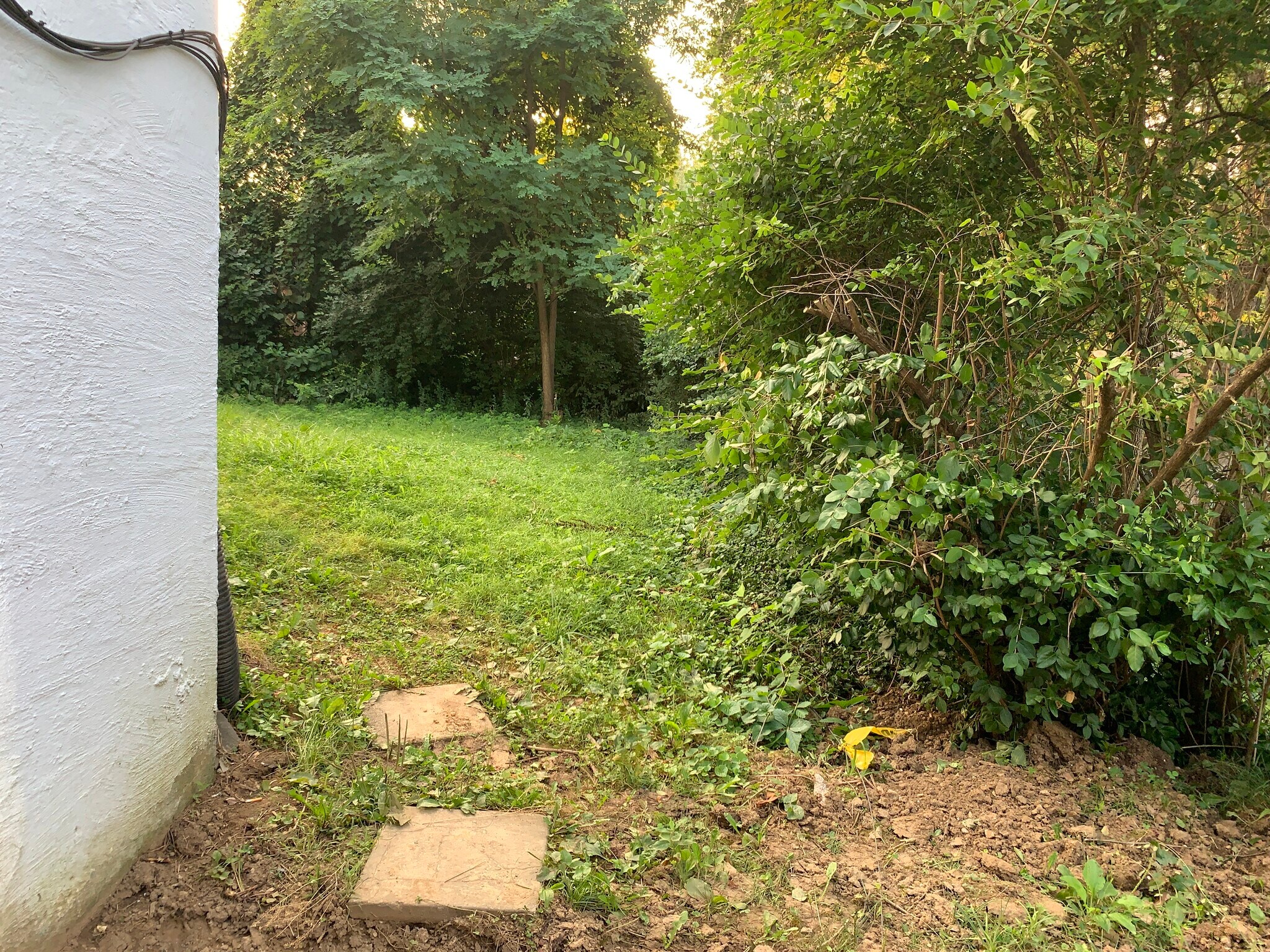 Building Photo - 3201 Catskill Ct