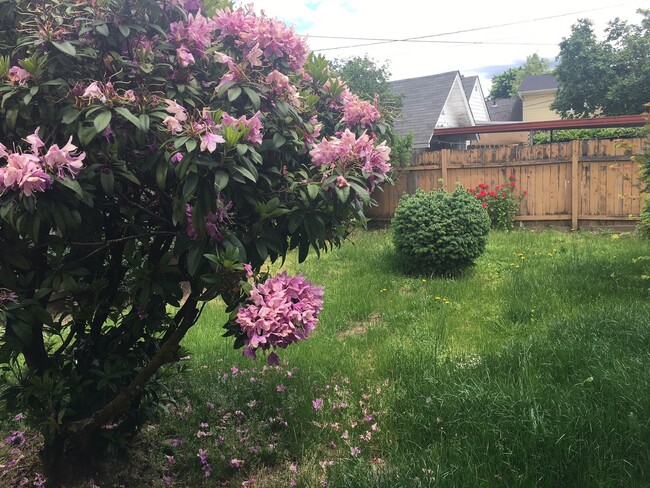 Building Photo - Cute 2 bed/1 bath bungalow near Springfiel...