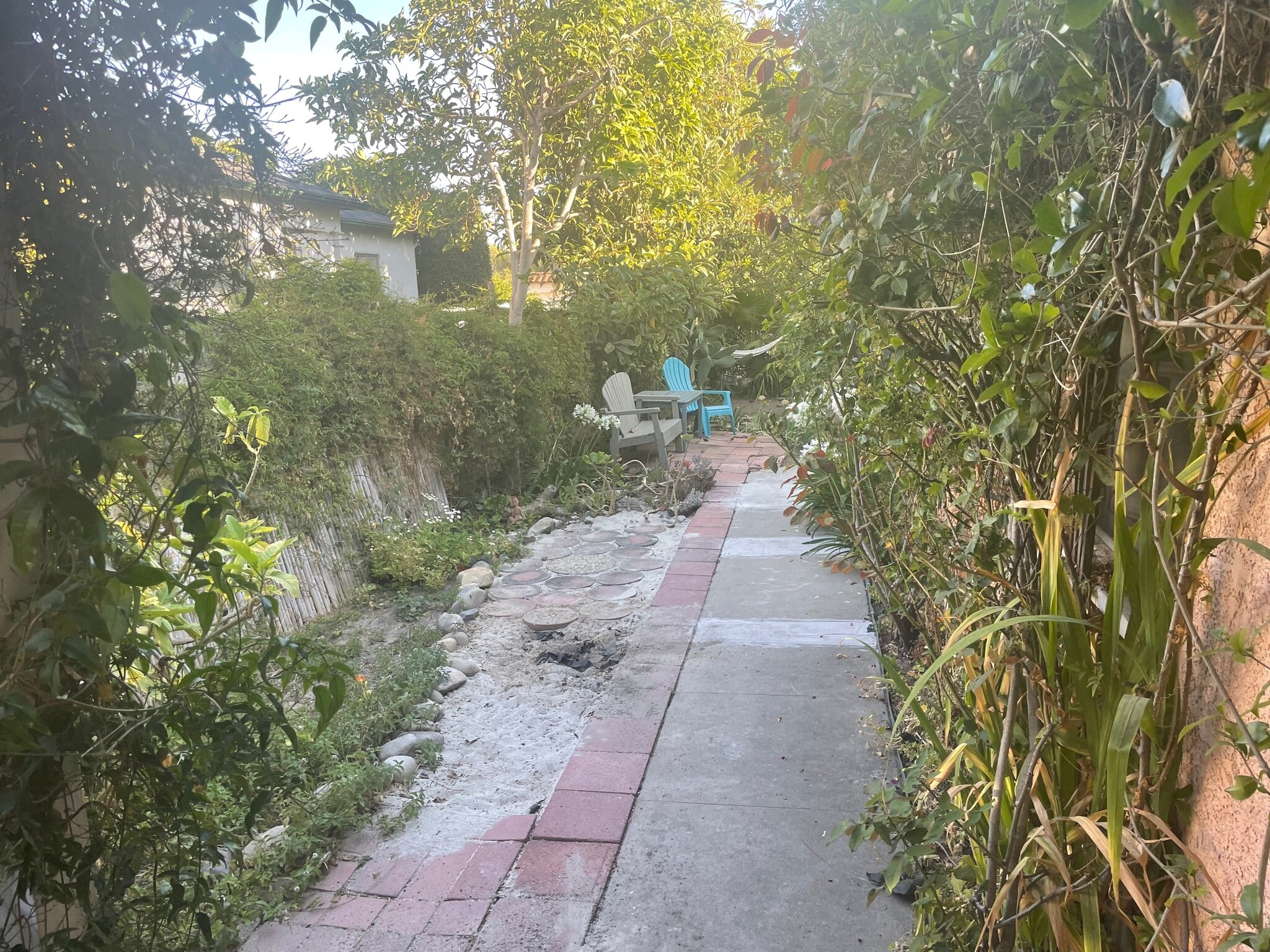 Front yard - 8547 Airdrome St