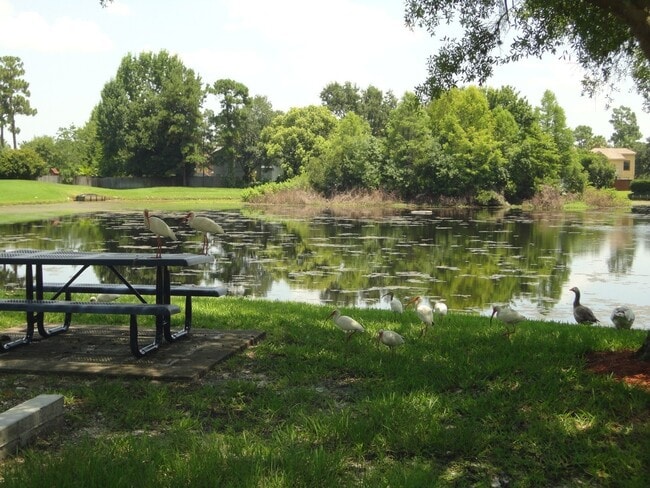 Building Photo - Water view 3/2 in Alafaya Woods. UPDATED k...
