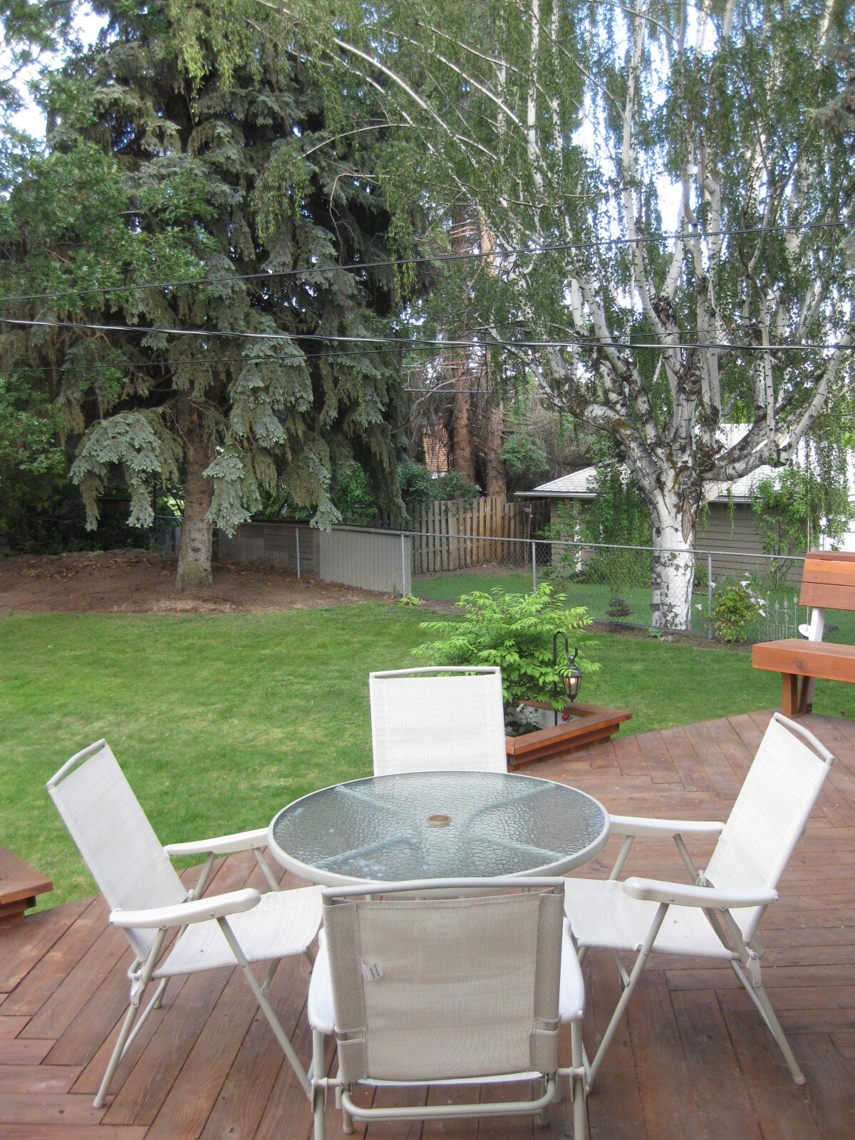 Large private back yard w/sprinklers and garden beds - 215 South 36th Avenue