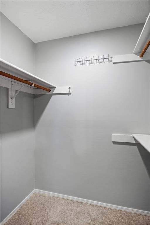 Building Photo - 304 Natchez Trace