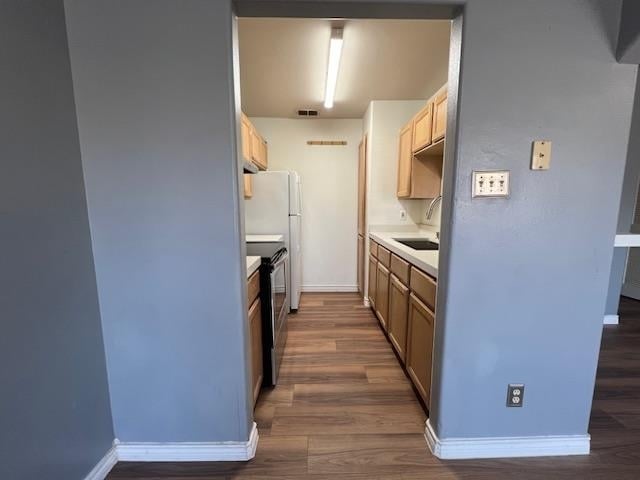 Building Photo - 9802 Cantera Ct