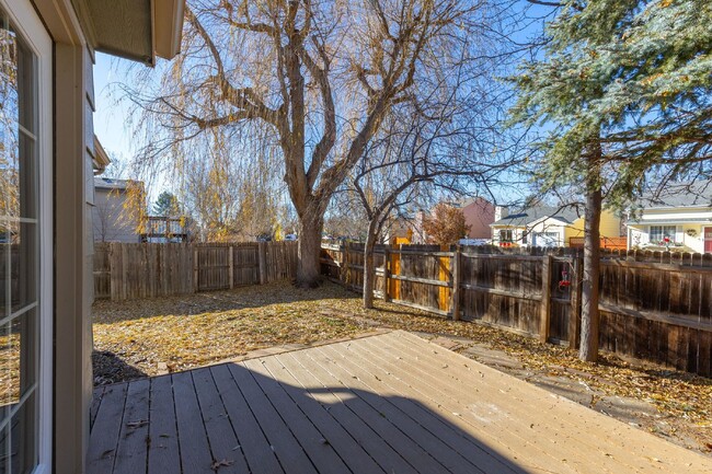 Building Photo - Super Central Longmont Location!