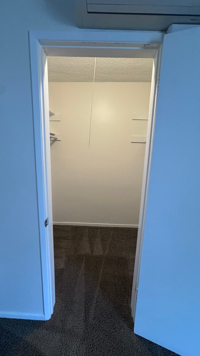 Ensuite bedroom walk in closet - 11983 Walnut Ln