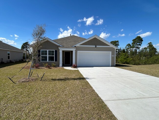 Primary Photo - Brand new Conway home for rent! Near CCU